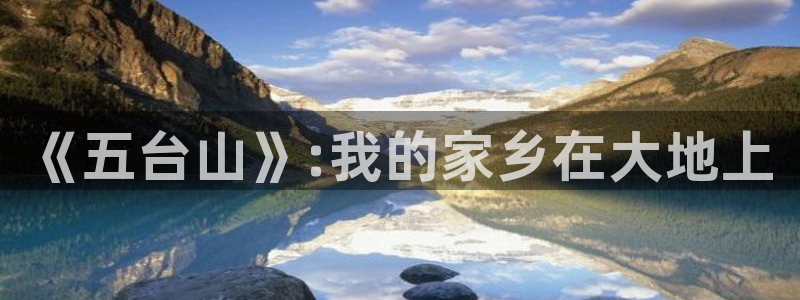 飞球直播官网