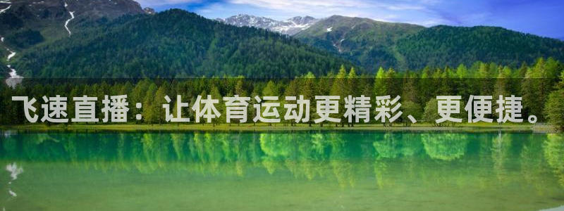 飞球直播app免费版