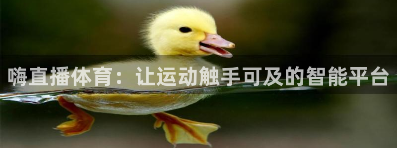 飞球直播安卓版免费下载