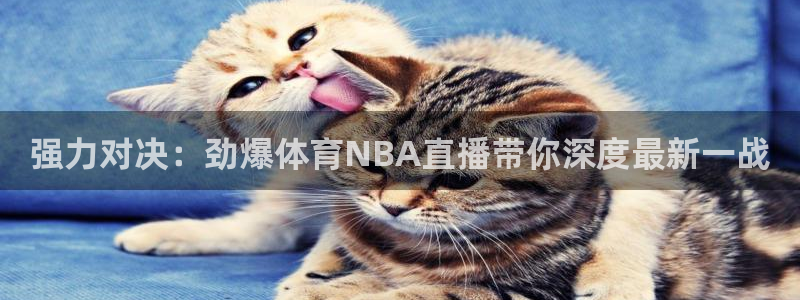 飞球直播app下载安装最新版