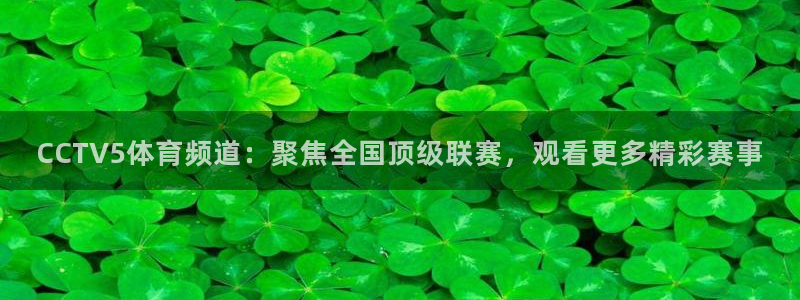 飞球直播官网