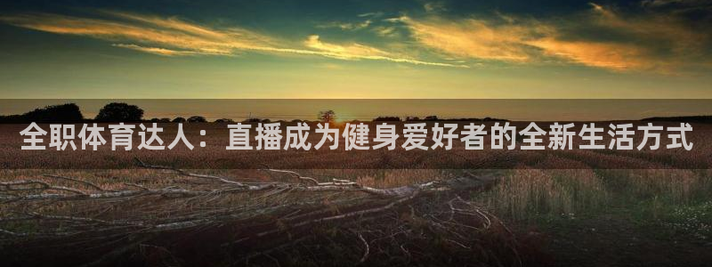 飞球直播官网网址