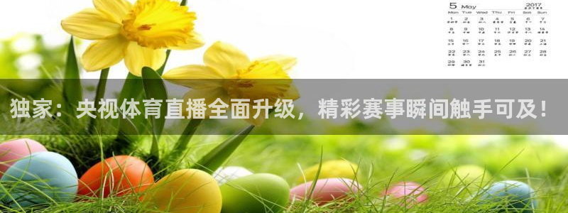 飞球直播网页版下载
