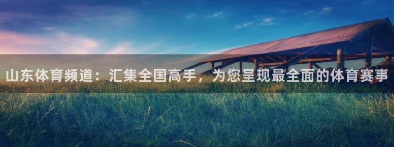 飞球直播足球