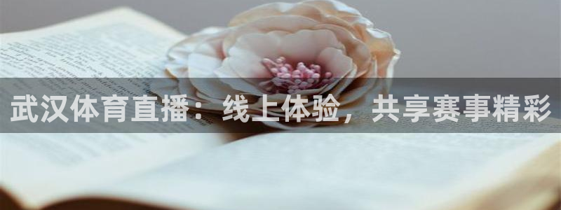 飞球直播体育在线观看