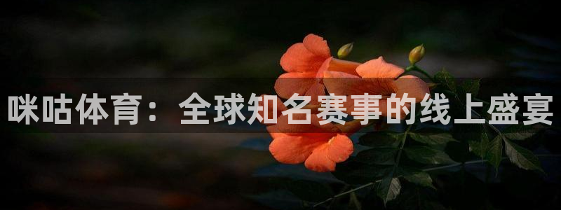 飞球直播nba免费观看直播在线