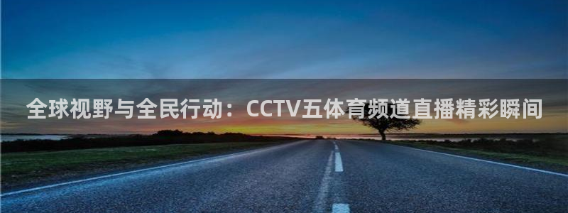 飞球直播免费观看直播在线