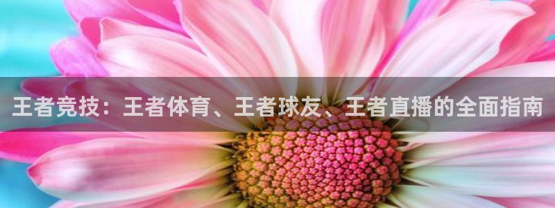 飞球直播安卓版免费下载