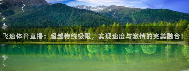 飞球直播免费观看直播在线