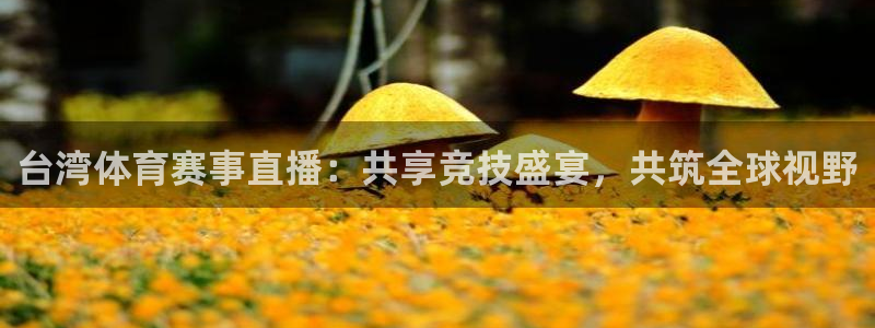 飞球直播app免费版下载安装