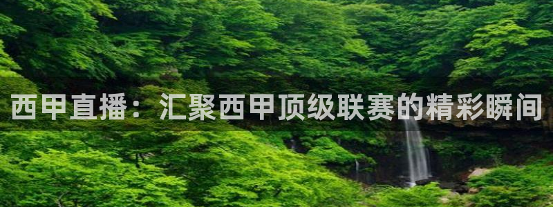 飞球直播app下载安装